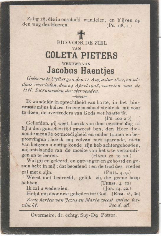 Scan