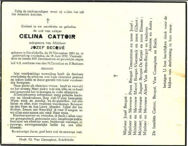 Celina Cattoir