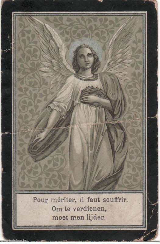 Scan