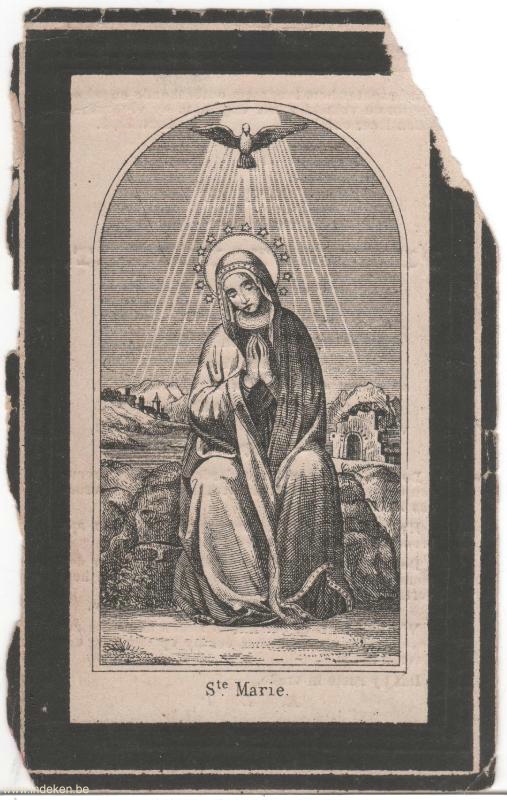 Pieter Standaert