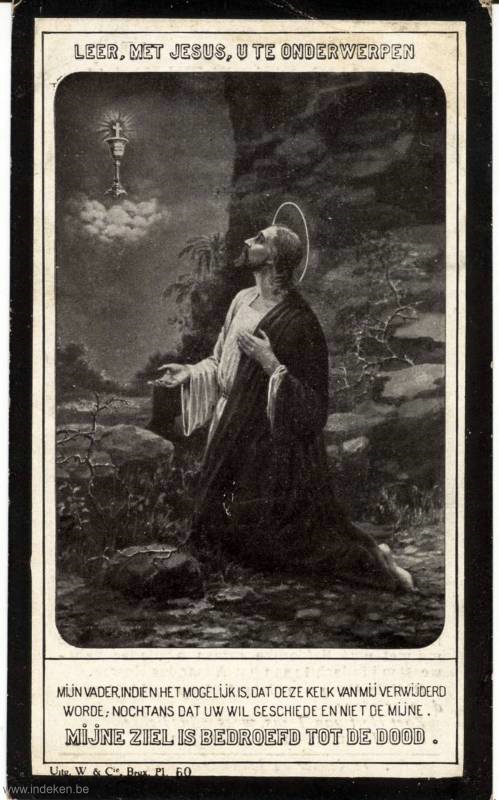 Maria Pieyns