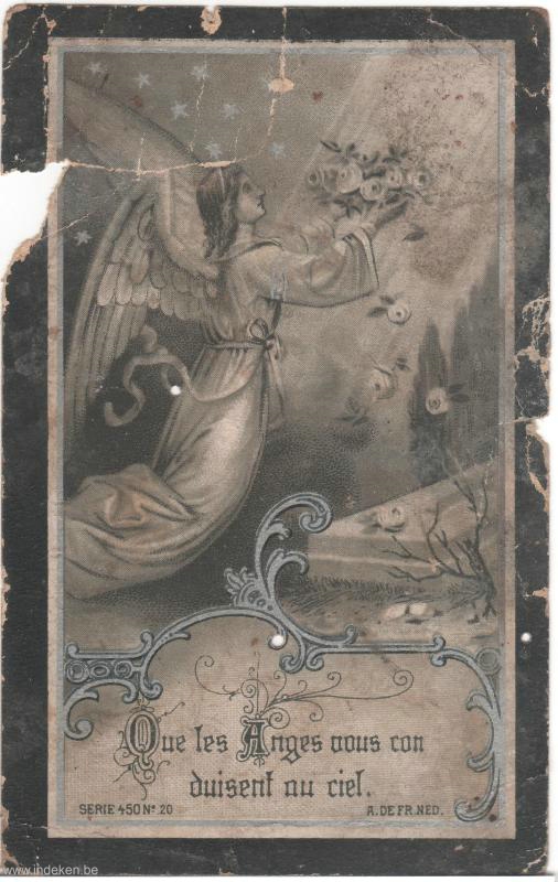Scan