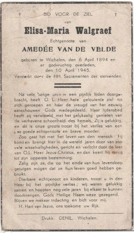 Scan