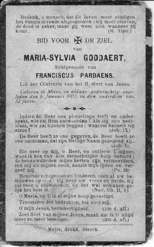 Maria Sylvia Goddaert