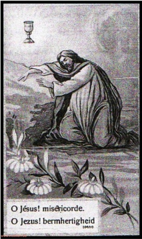 Marie Coralie De Saedeleer