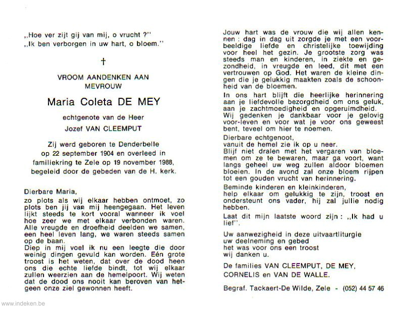Scan
