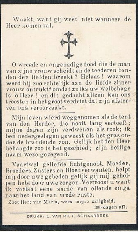 Scan