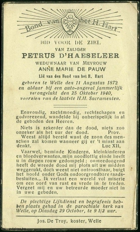 Petrus D Haeseleer