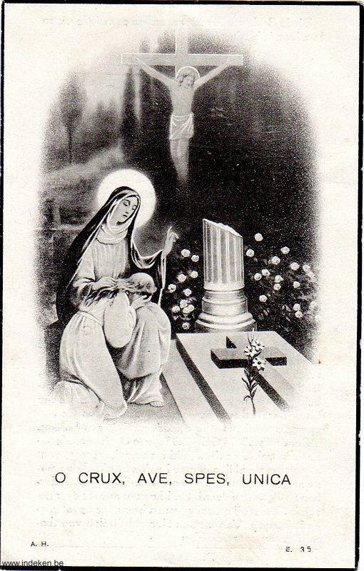 Anna De Vos