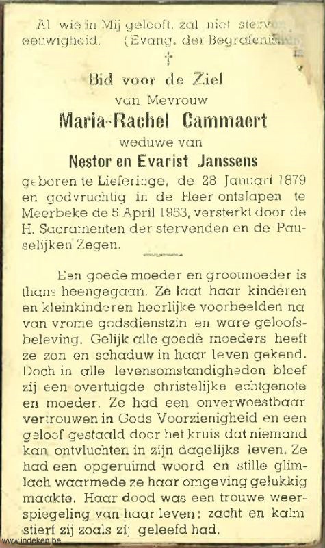 Scan