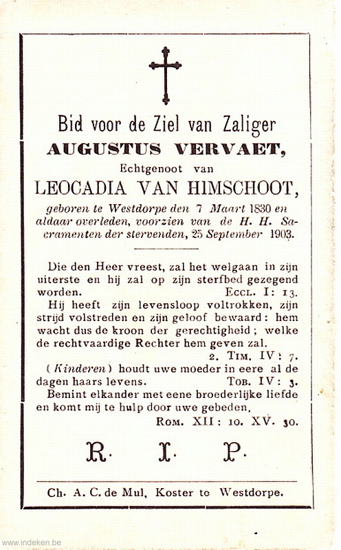 Scan
